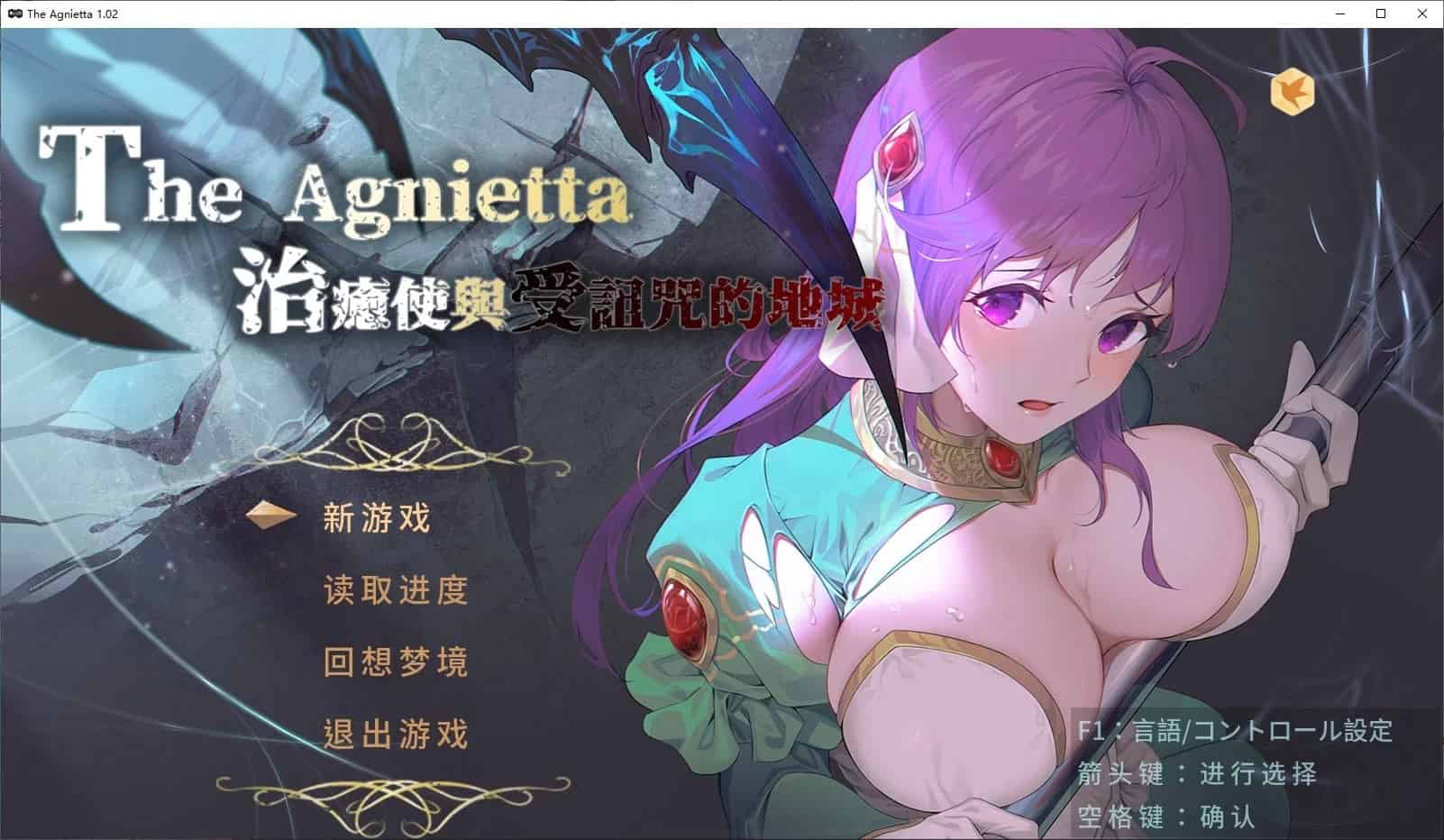 【ARPG步兵】治愈使与受诅咒的地下城 V1.05 中文步兵版【PC】-ACG二次元游报